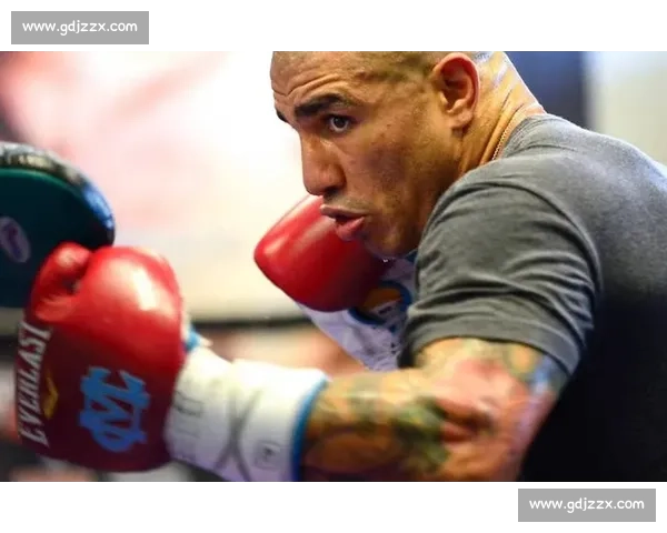 库托vs阿瓦雷兹巅峰对决直播解析拳坛焦点之夜全程回顾技术战术看点